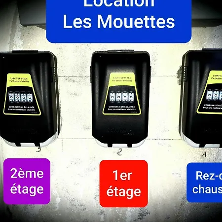 Les Mouettes 3 Le Tréport